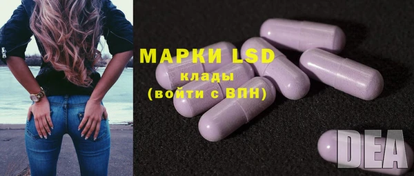 ГАЛЛЮЦИНОГЕННЫЕ ГРИБЫ Абаза