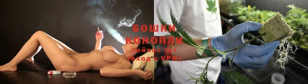 ГАЛЛЮЦИНОГЕННЫЕ ГРИБЫ Абаза