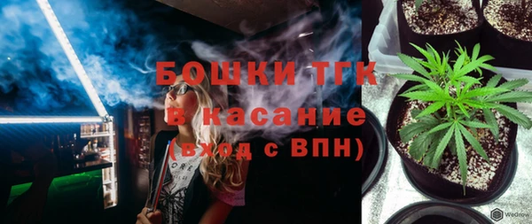 ГАЛЛЮЦИНОГЕННЫЕ ГРИБЫ Абаза