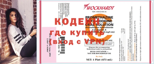 ГАЛЛЮЦИНОГЕННЫЕ ГРИБЫ Абаза