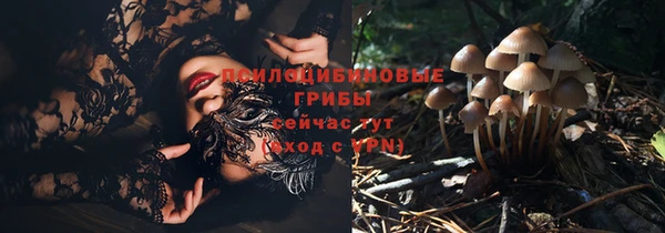 MESCALINE Абинск