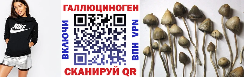 Галлюциногенные грибы мухоморы  МЕГА сайт  Барнаул  купить  